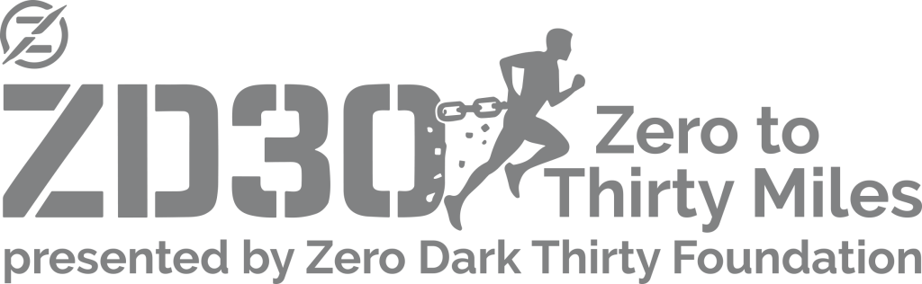 zd30 full logo